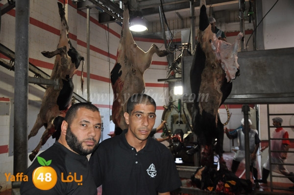 Jam3iya la7m3n (33).JPG